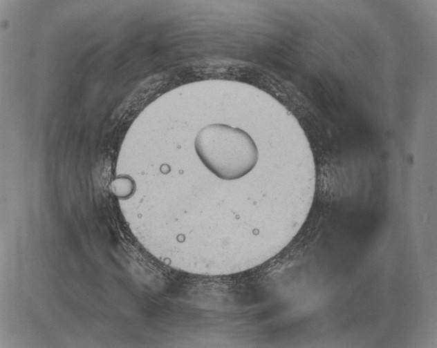 X0000083610820200702260925