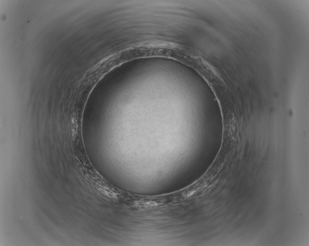 X0000083610821200702260925