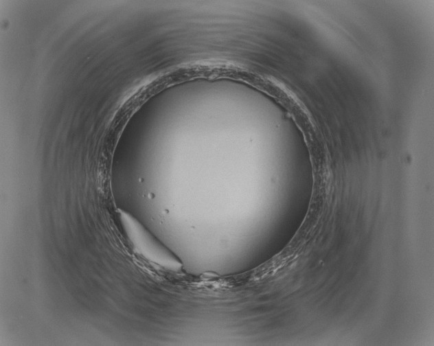 X0000083610823200702260925