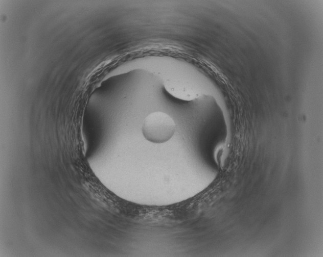 X0000083610824200702260925