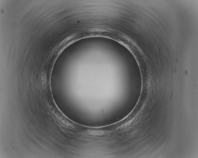 X0000083610825200702260925