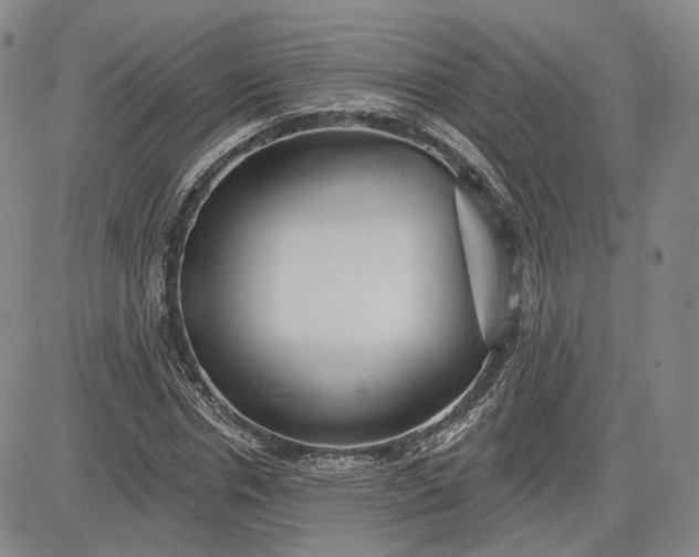 X0000083610826200702260925