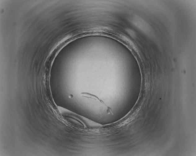 X0000083610827200702260925