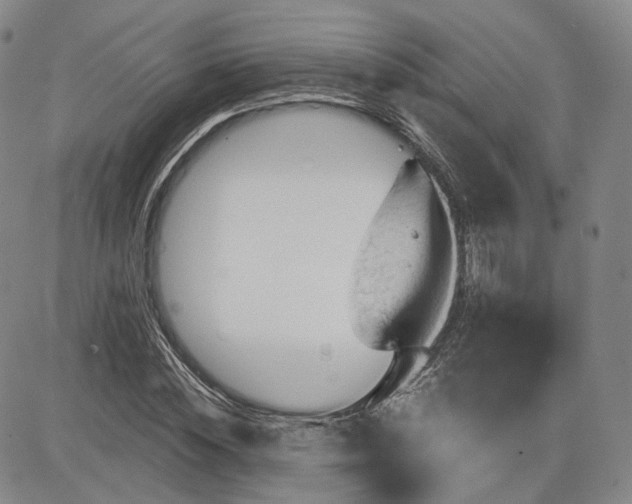 X0000083610828200702260925