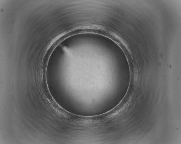 X0000083610829200702260925