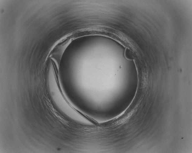 X0000083610830200702260925