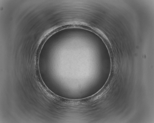 X0000083610831200702260925