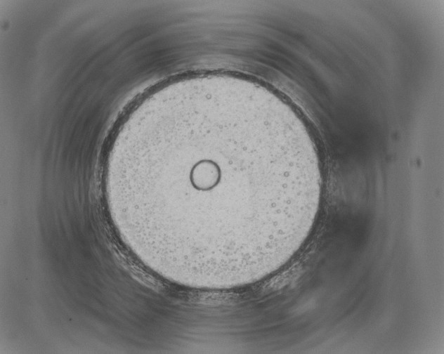 X0000083610832200702260925