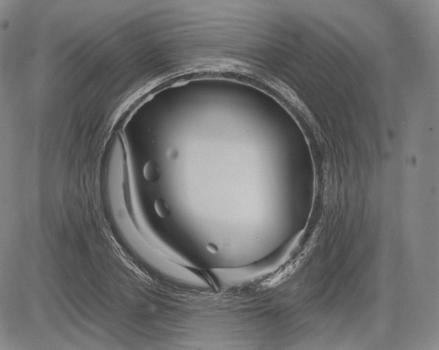 X0000083610834200702260926