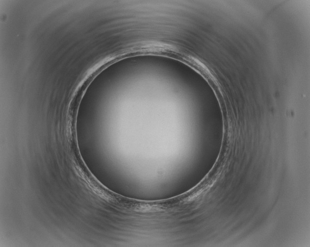 X0000083610835200702260926