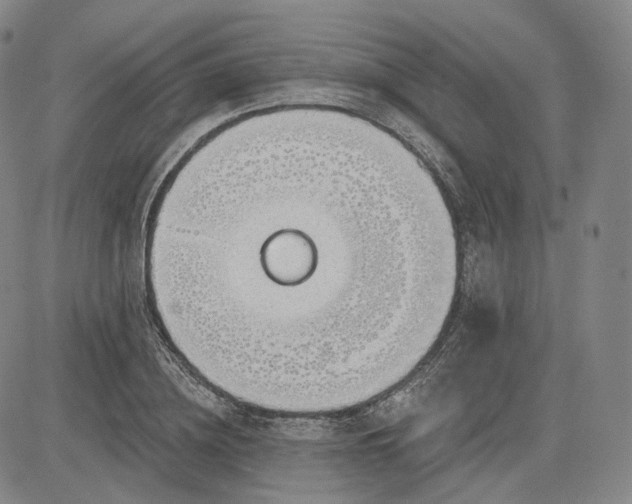 X0000083610836200702260926