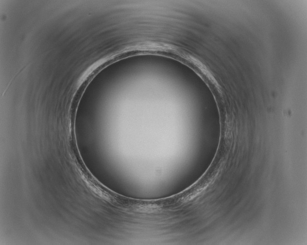 X0000083610837200702260926