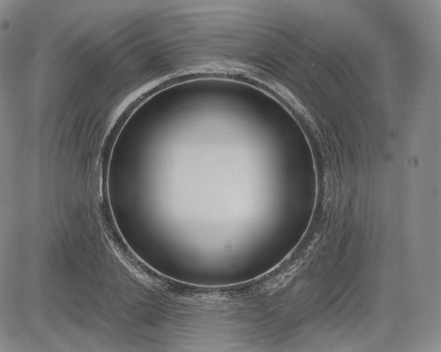 X0000083610838200702260926