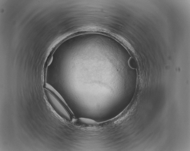 X0000083610839200702260926