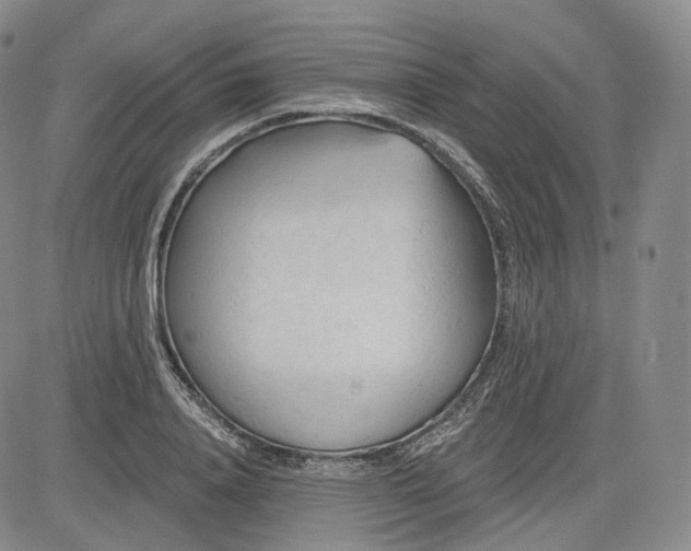 X0000083610840200702260926