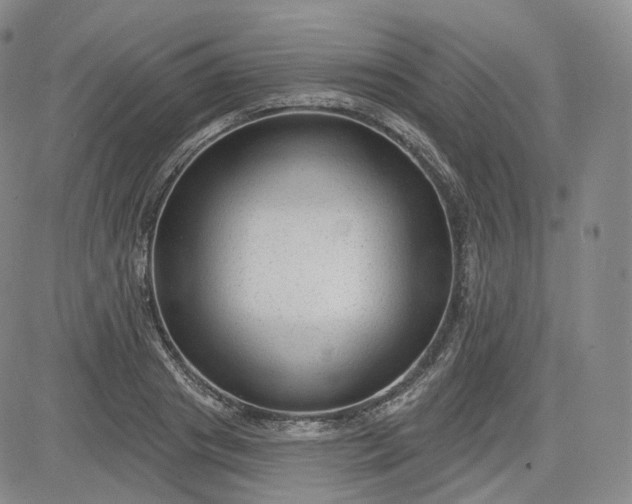 X0000083610841200702260926