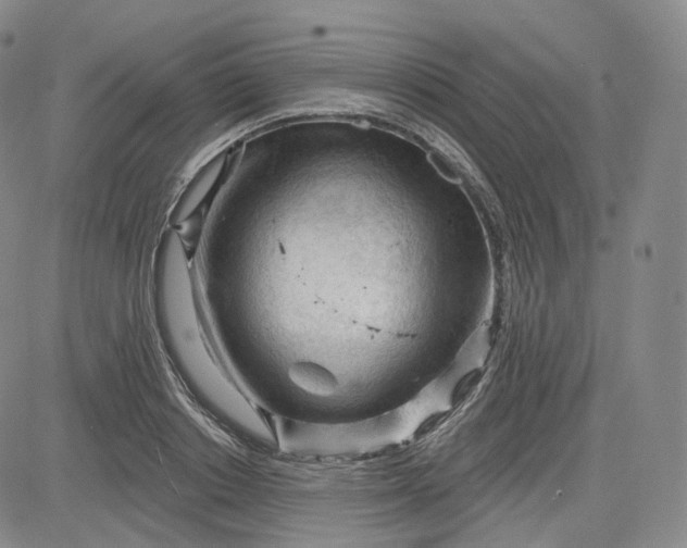 X0000083610842200702260926