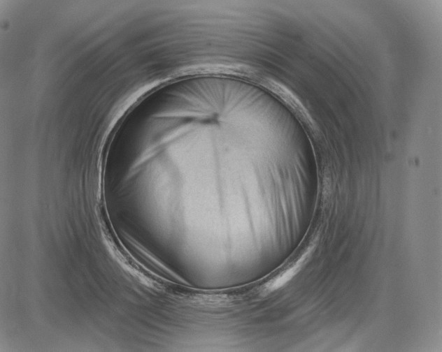 X0000083610844200702260926