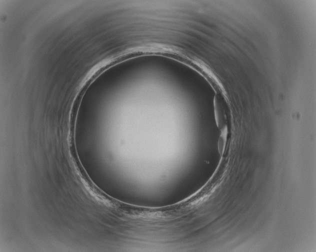 X0000083610845200702260926