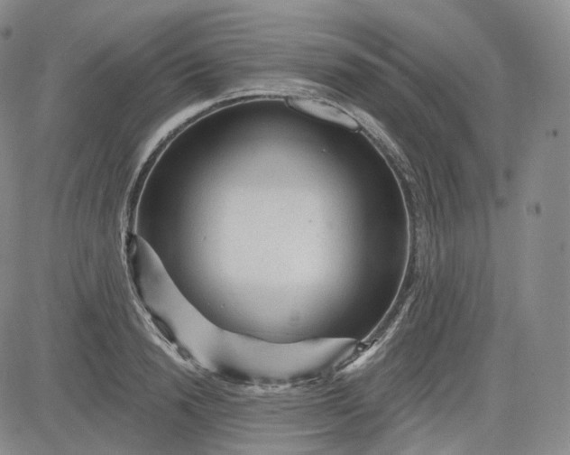 X0000083610846200702260926