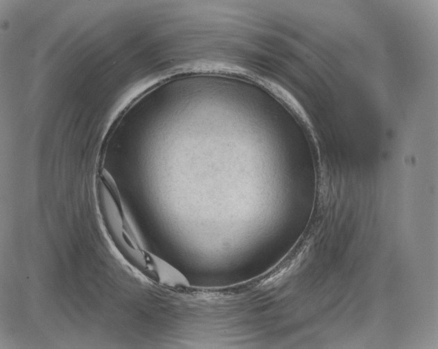 X0000083610847200702260926