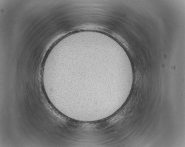 X0000083610848200702260926