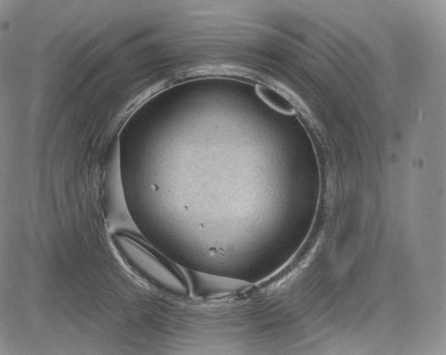 X0000083610849200702260926