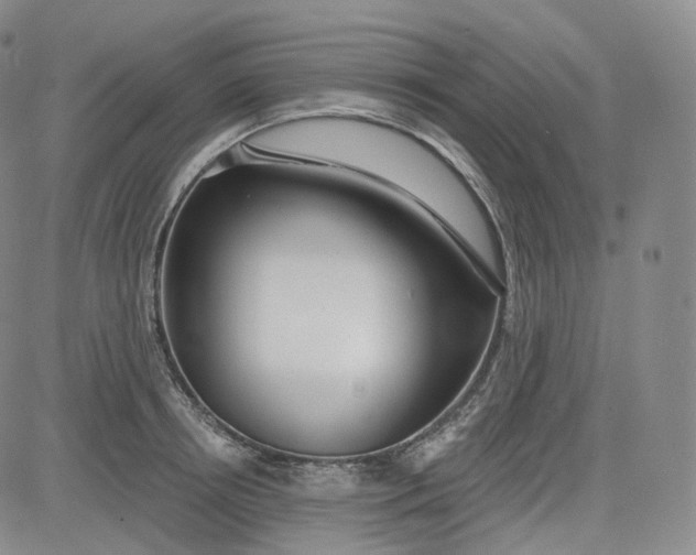 X0000083610850200702260926