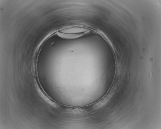 X0000083610851200702260926