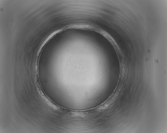 X0000083610852200702260926