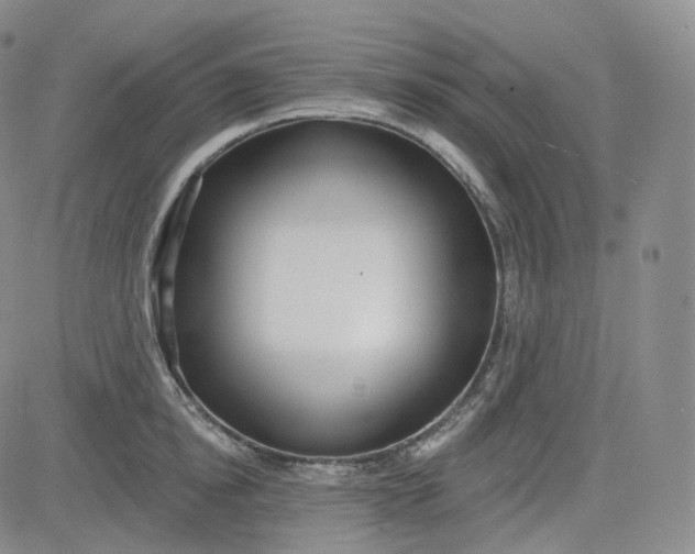 X0000083610854200702260926