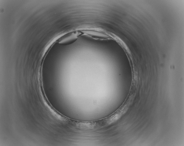 X0000083610855200702260926