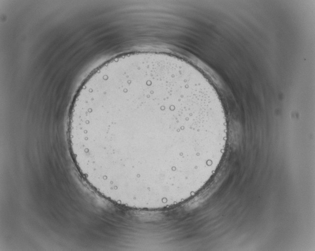 X0000083610856200702260926