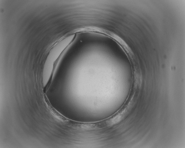 X0000083610857200702260926