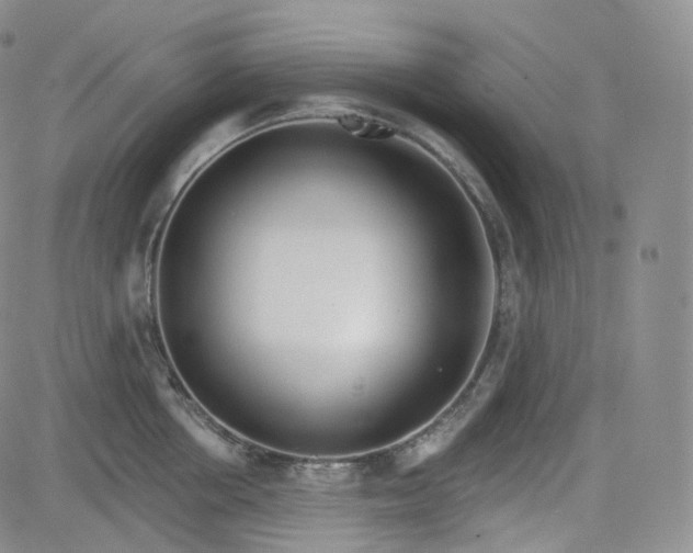 X0000083610858200702260926