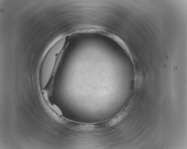 X0000083610859200702260926