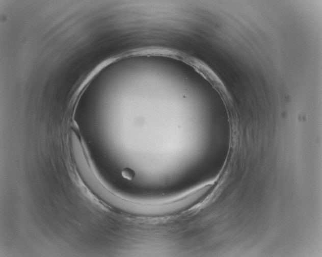 X0000083610860200702260926