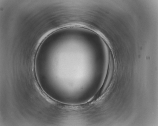 X0000083610862200702260926