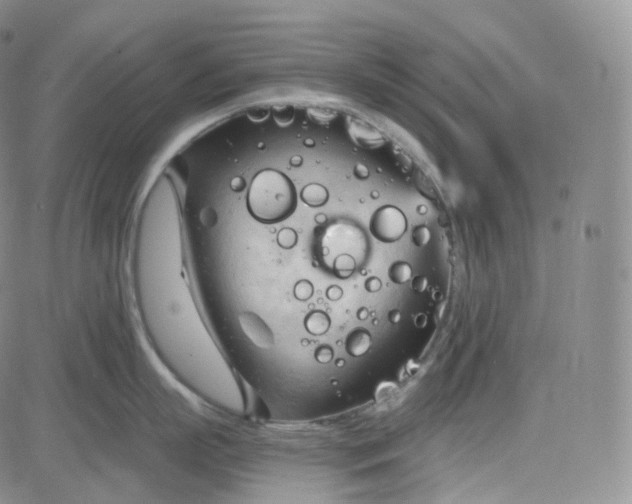 X0000083610863200702260926