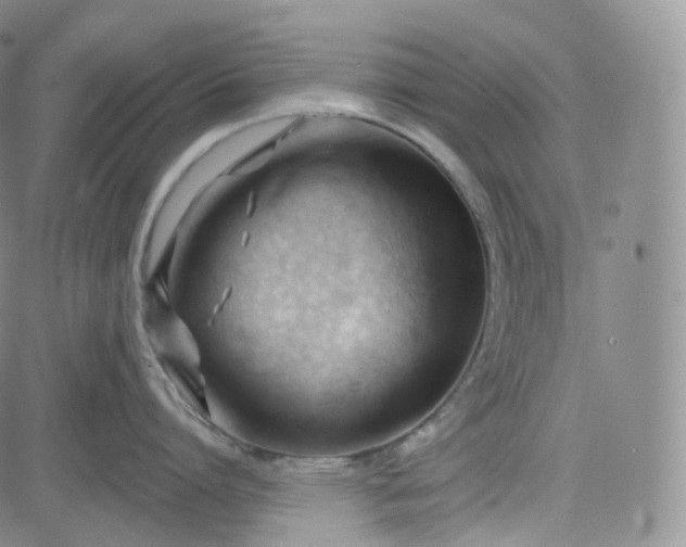 X0000083610864200702260926