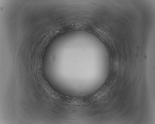 X0000083610865200702260925