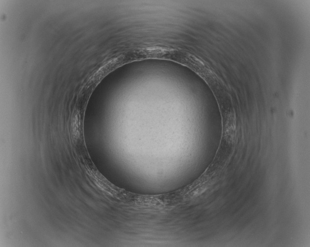 X0000083610866200702260925