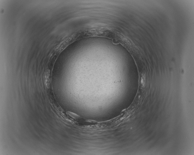 X0000083610867200702260925