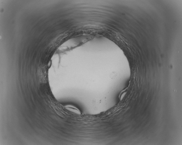 X0000083610868200702260925