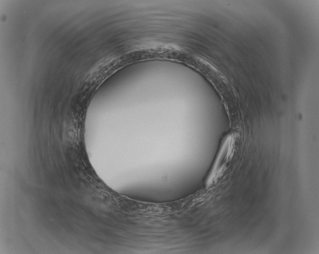 X0000083610869200702260925