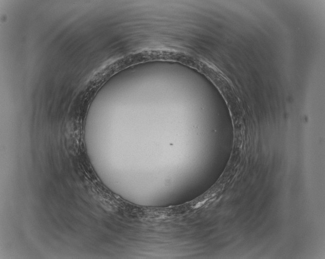 X0000083610870200702260925