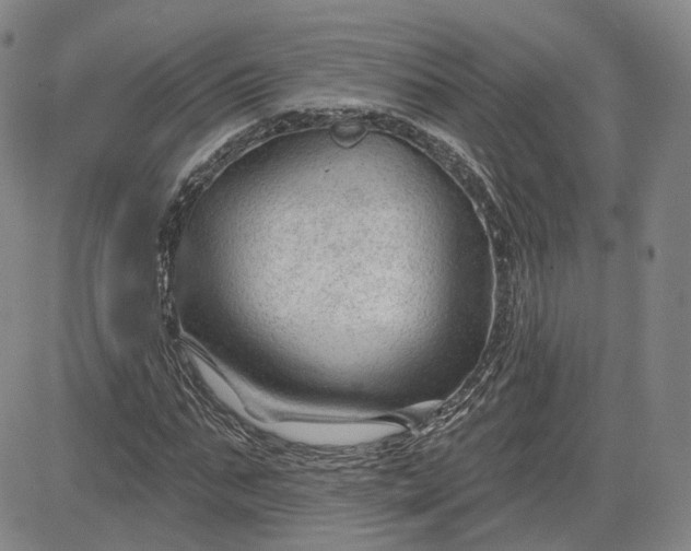 X0000083610871200702260925