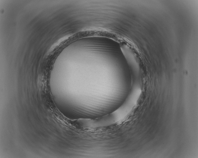 X0000083610872200702260925