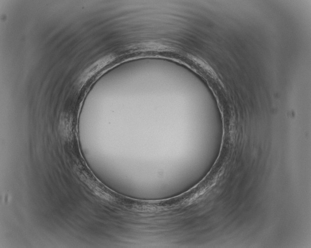 X0000083610873200702260925