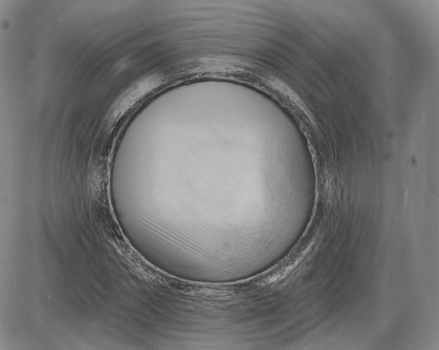 X0000083610874200702260925